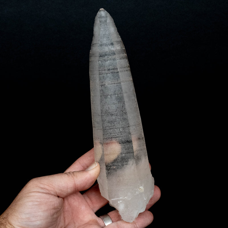 Lemurian Seed Quartz Crystal 522 g 240x56mm DT Self Healed
