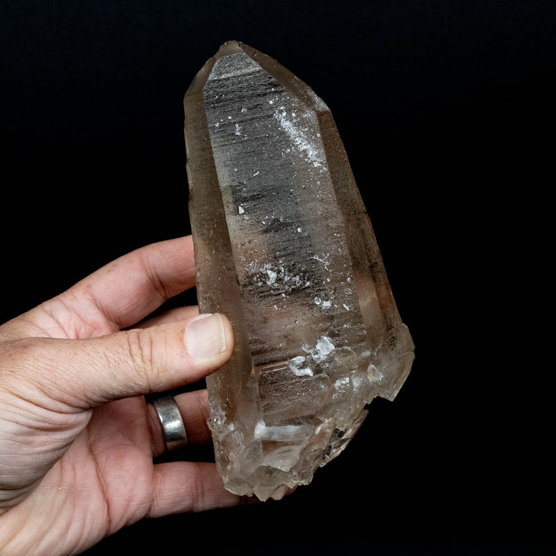 Lemurian Seed Quartz Crystal 832 g 171x74mm DT *SMOKY