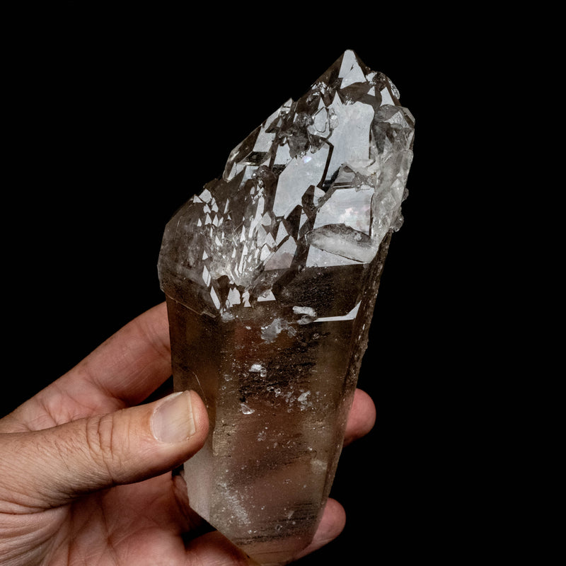 Lemurian Seed Quartz Crystal 832 g 171x74mm DT *SMOKY