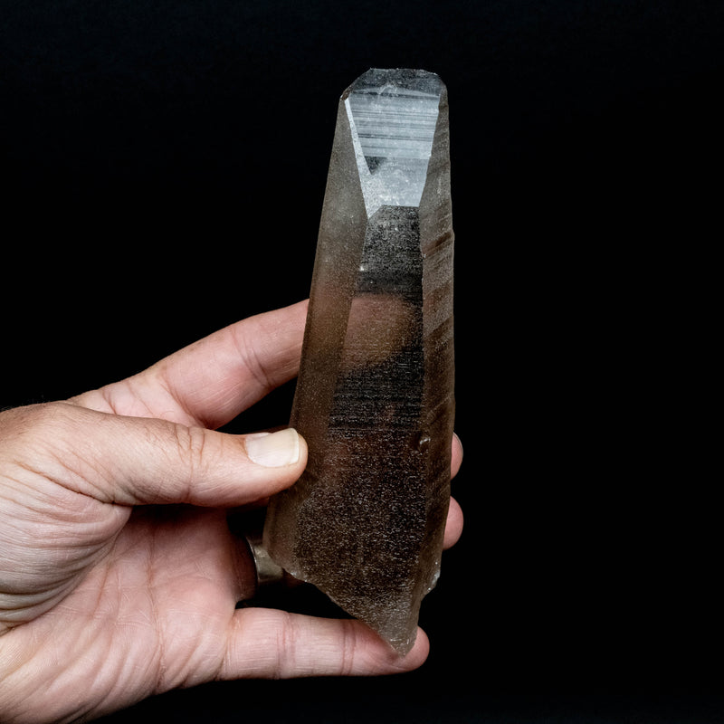 Lemurian Seed Quartz Crystal 389 g 158x51mm *Smoky