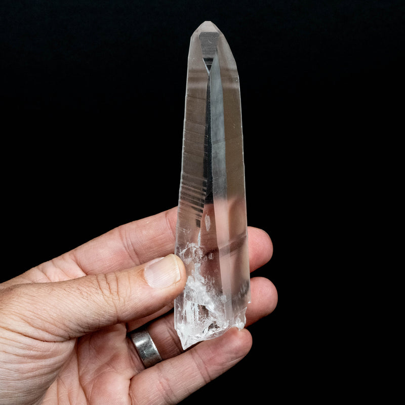 Lemurian Seed Quartz Crystal 168 g 137x36mm