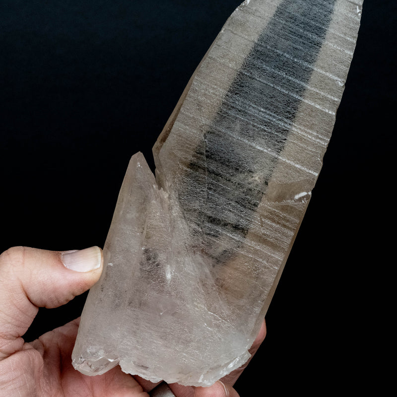Lemurian Seed Quartz Crystal 510 g 190x65mm DT Self Healed