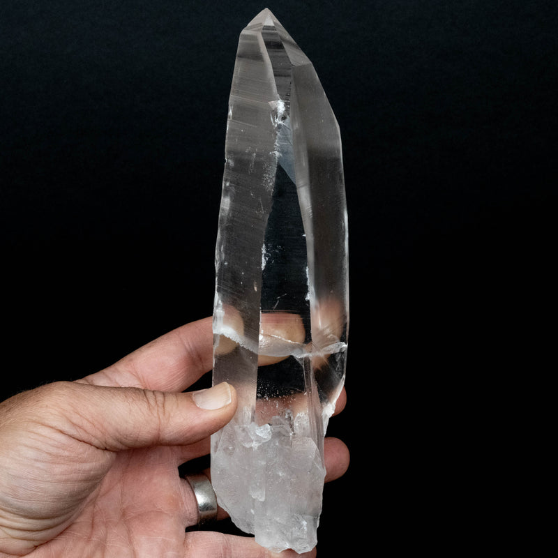 Lemurian Seed Quartz Crystal 754 g 208x60mm