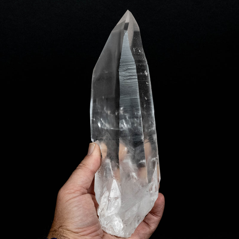 Lemurian Seed Quartz Crystal 1430 g 9.9x2.6in