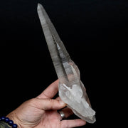 Lemurian Seed Quartz Crystal 795 g 10.75x2in - InnerVision Crystals