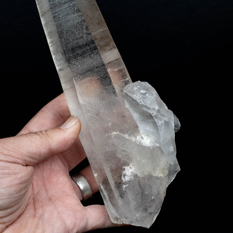 Lemurian Seed Quartz Crystal 795 g 10.75x2in - InnerVision Crystals