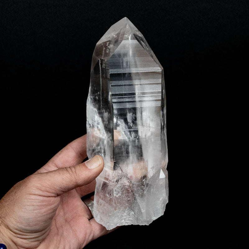 Lemurian Seed Quartz Crystal 1290 g 8.25x2.7in