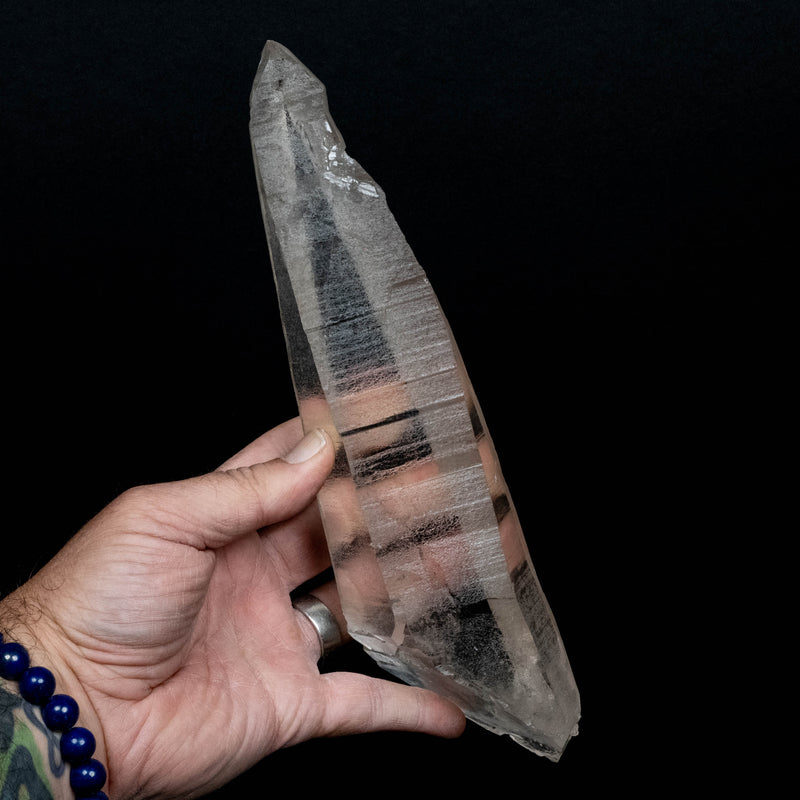 Lemurian Seed Quartz Crystal 885 g 10.5x2.3in DT