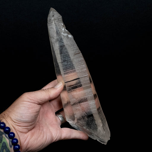 Lemurian Seed Quartz Crystal 885 g 10.5x2.3in DT - InnerVision Crystals