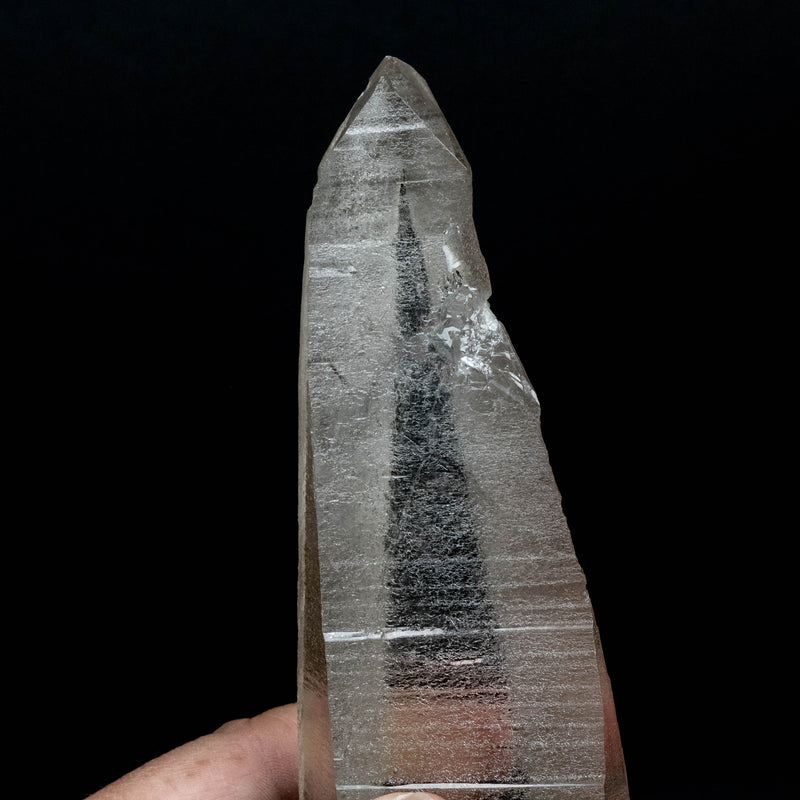 Lemurian Seed Quartz Crystal 885 g 10.5x2.3in DT