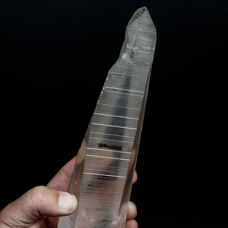 Lemurian Seed Quartz Crystal 885 g 10.5x2.3in DT