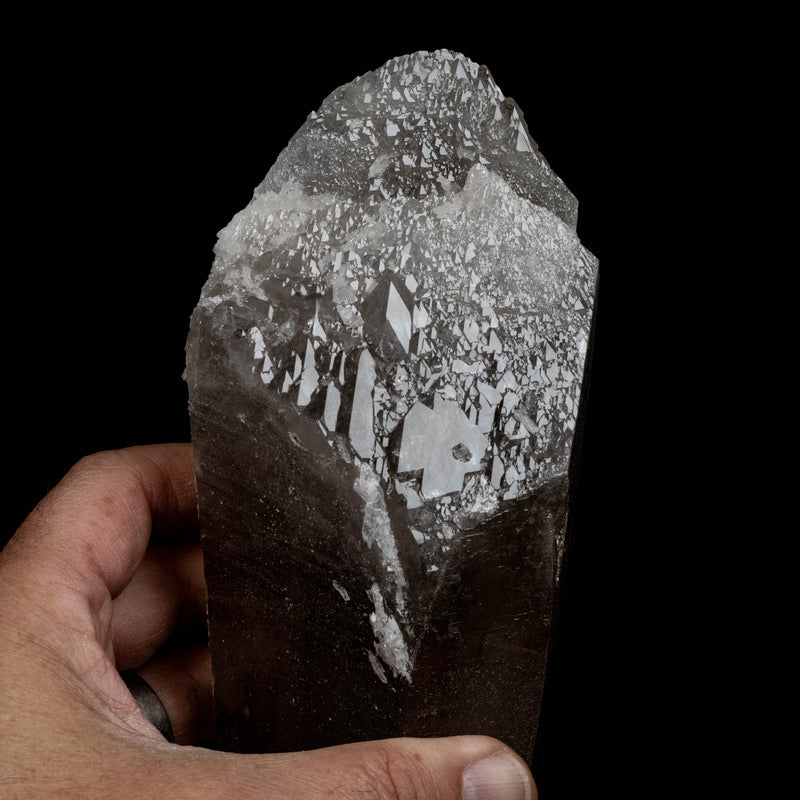 Lemurian Seed Quartz Crystal 1600 g 9.75x2.9in DT Self Healed