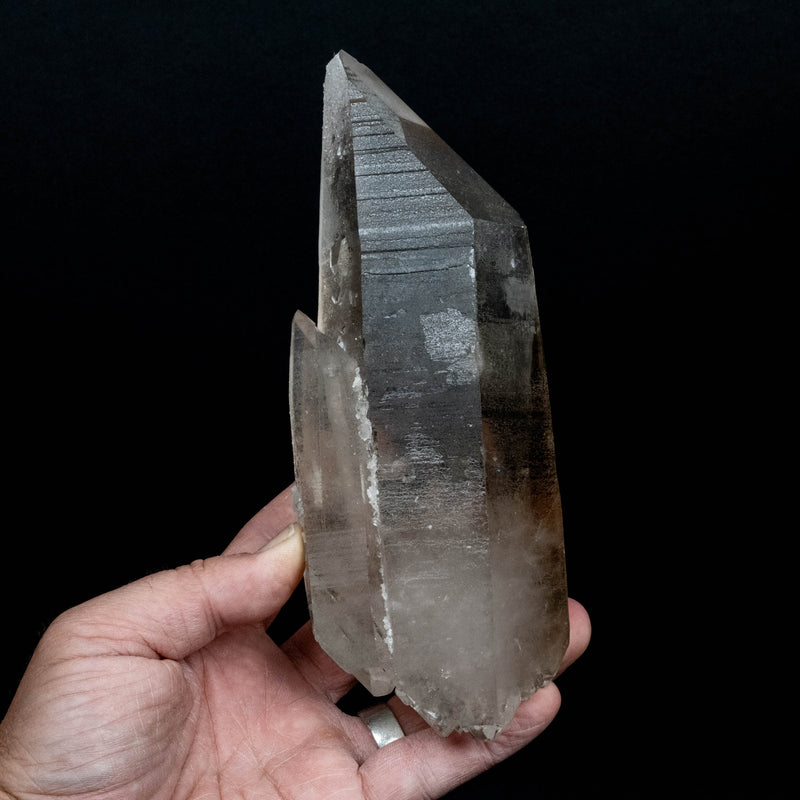 Lemurian Seed Quartz Crystal 980 g 7.5x2.8in DT