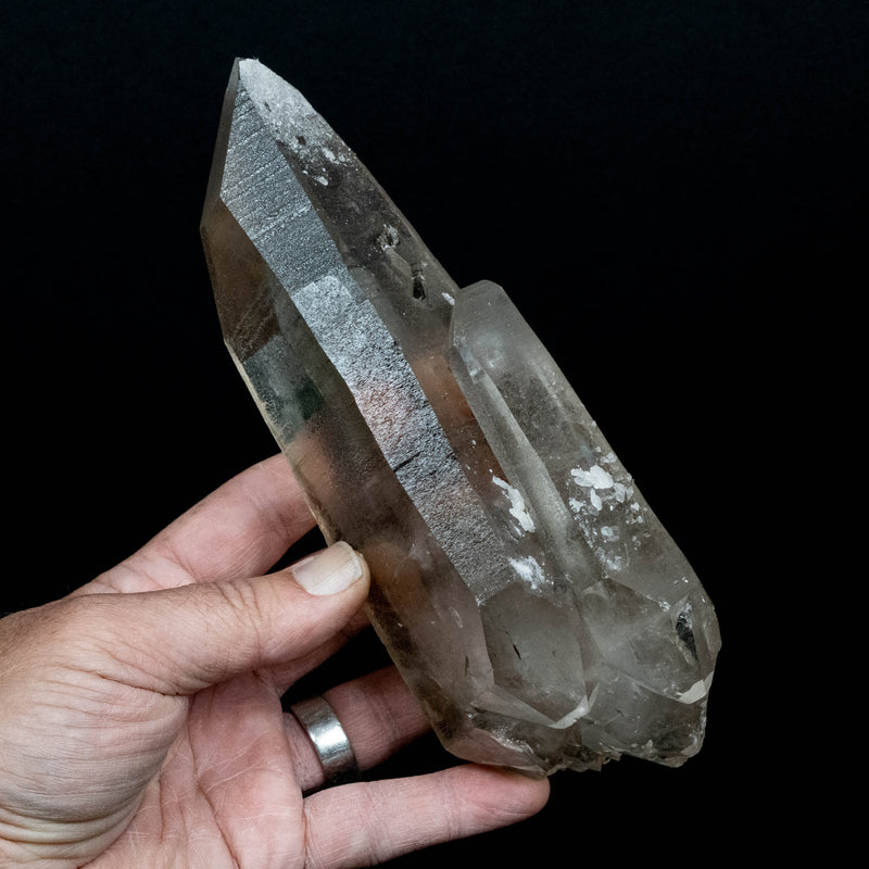 Lemurian Seed Quartz Crystal 980 g 7.5x2.8in DT