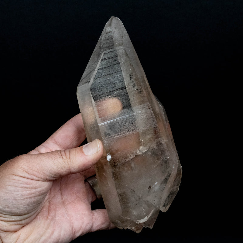 Lemurian Seed Quartz Crystal 980 g 7.5x2.8in DT