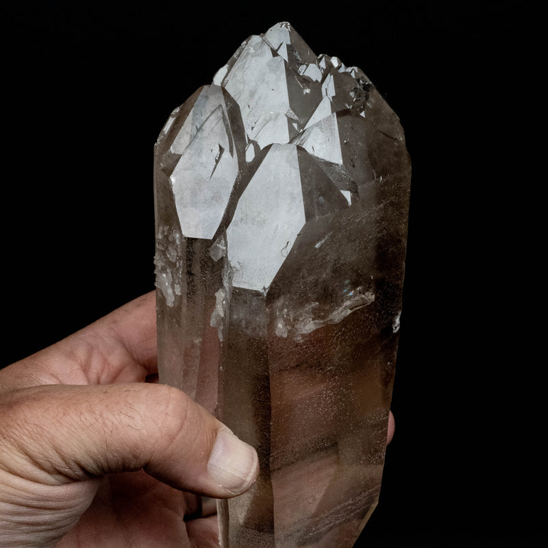 Lemurian Seed Quartz Crystal 980 g 7.5x2.8in DT