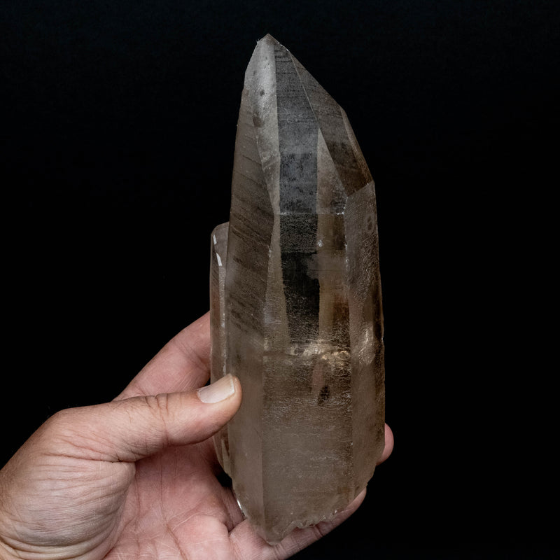 Lemurian Seed Quartz Crystal 980 g 7.5x2.8in DT