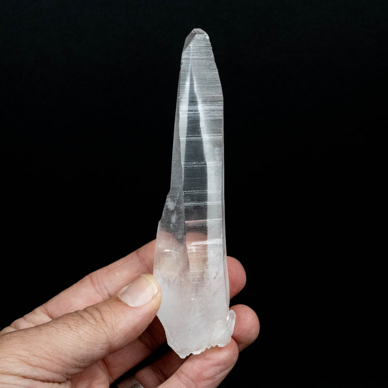 Lemurian Seed Quartz Crystal 122 g 131x31mm DT Self Healed