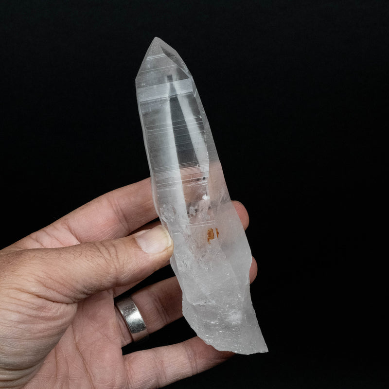 Lemurian Seed Quartz Crystal 242 g 151x37mm
