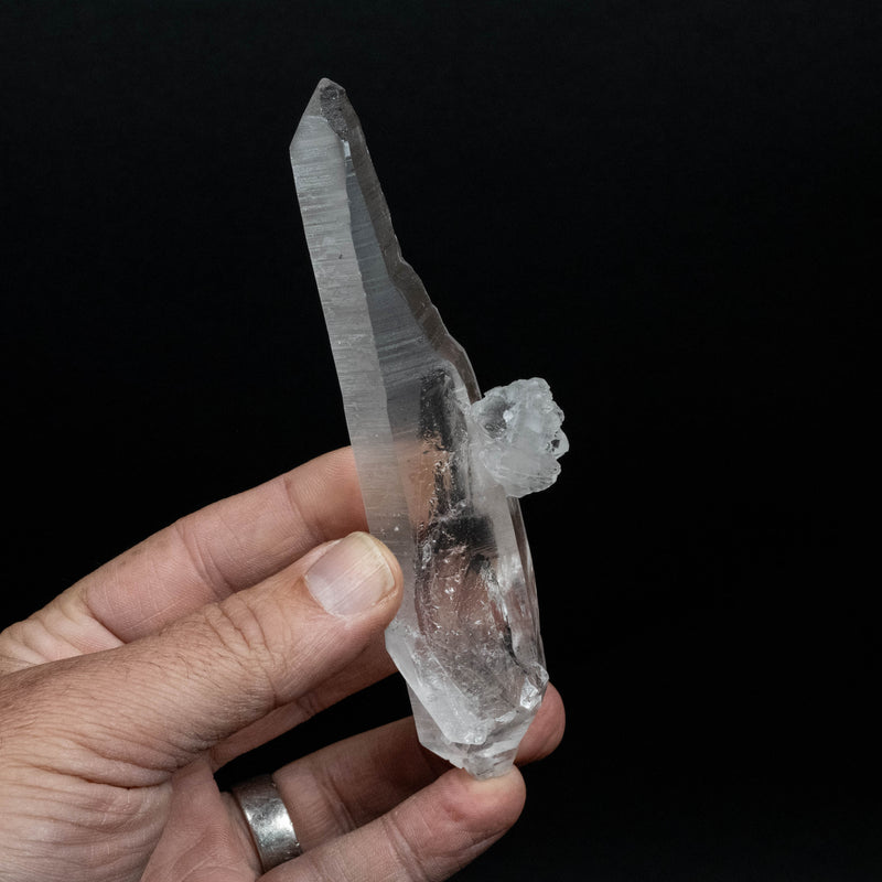 Lemurian Seed Quartz Crystal 104 g 133x37mm DT