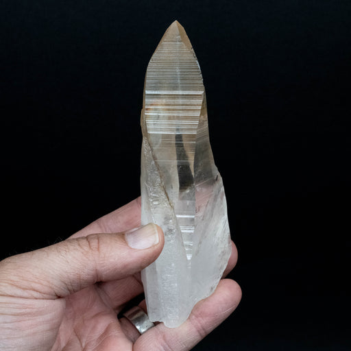 Lemurian Seed Quartz Crystal 224 g 134x42mm - InnerVision Crystals