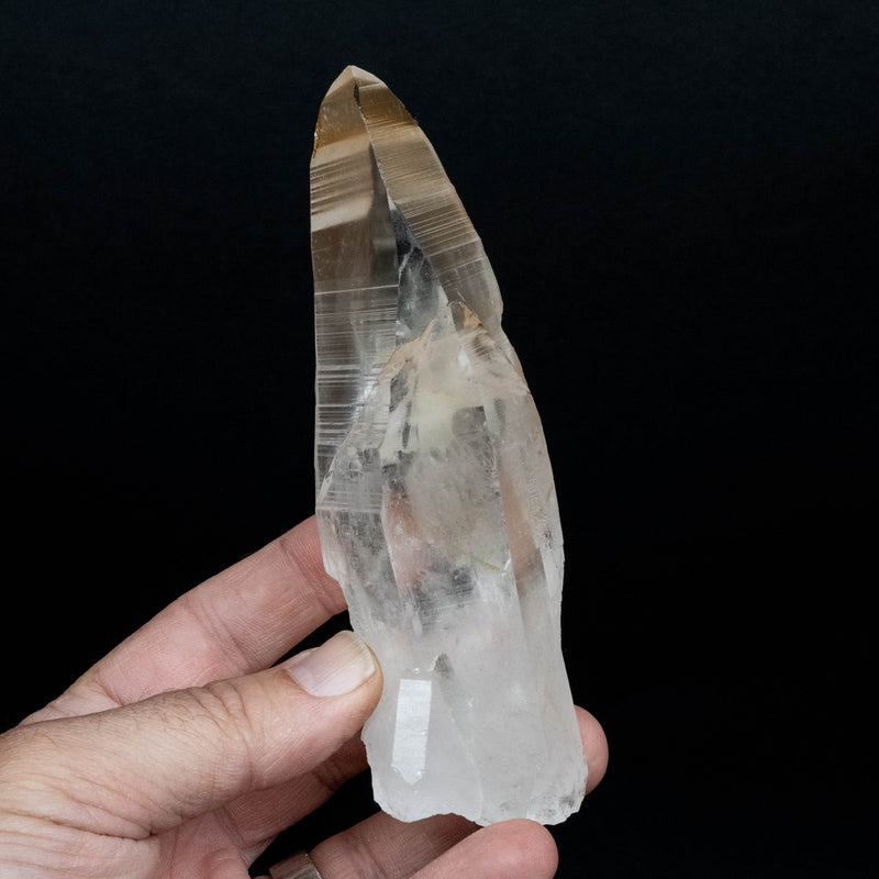 Lemurian Seed Quartz Crystal 304 g 140x48mm