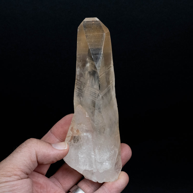 Lemurian Seed Quartz Crystal 340 g 146x47mm - InnerVision Crystals