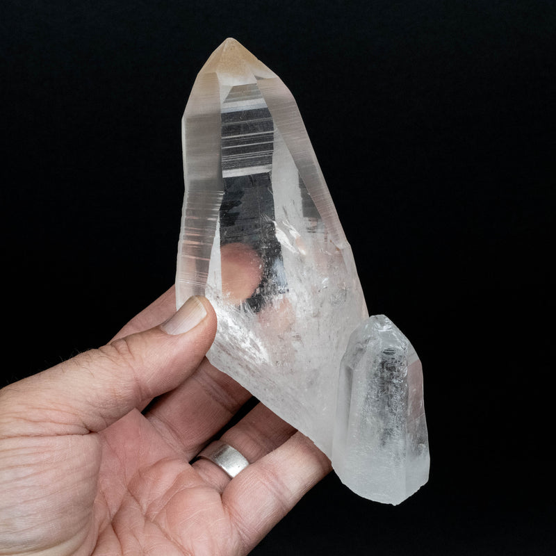 Lemurian Seed Quartz Crystal 422 g 150x82mm