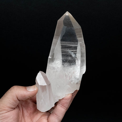 Lemurian Seed Quartz Crystal 422 g 150x82mm - InnerVision Crystals