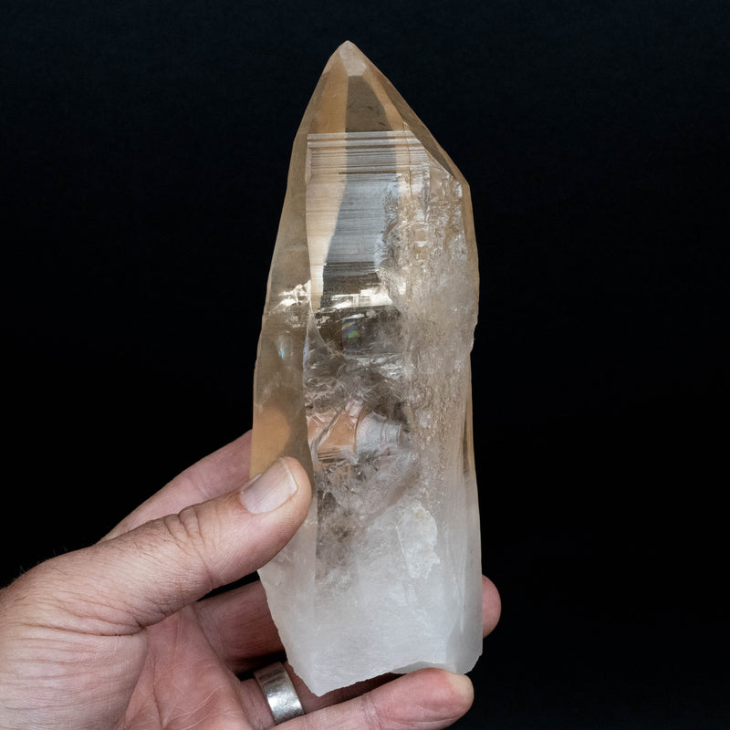 Lemurian Seed Quartz Crystal 650 g 163x59mm