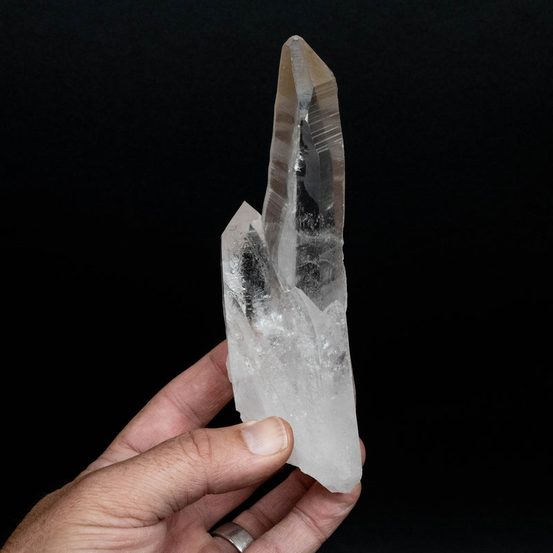 Lemurian Seed Quartz Crystal 416 g 164x64mm