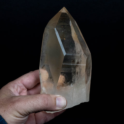 Lemurian Seed Quartz Crystal 1026 g 158x79mm - InnerVision Crystals