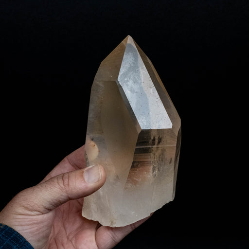 Lemurian Seed Quartz Crystal 1026 g 158x79mm - InnerVision Crystals