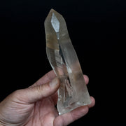 Lemurian Seed Quartz Crystal 476 g 169x64mm - InnerVision Crystals