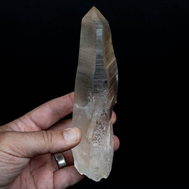 Lemurian Seed Quartz Crystal 476 g 169x64mm - InnerVision Crystals