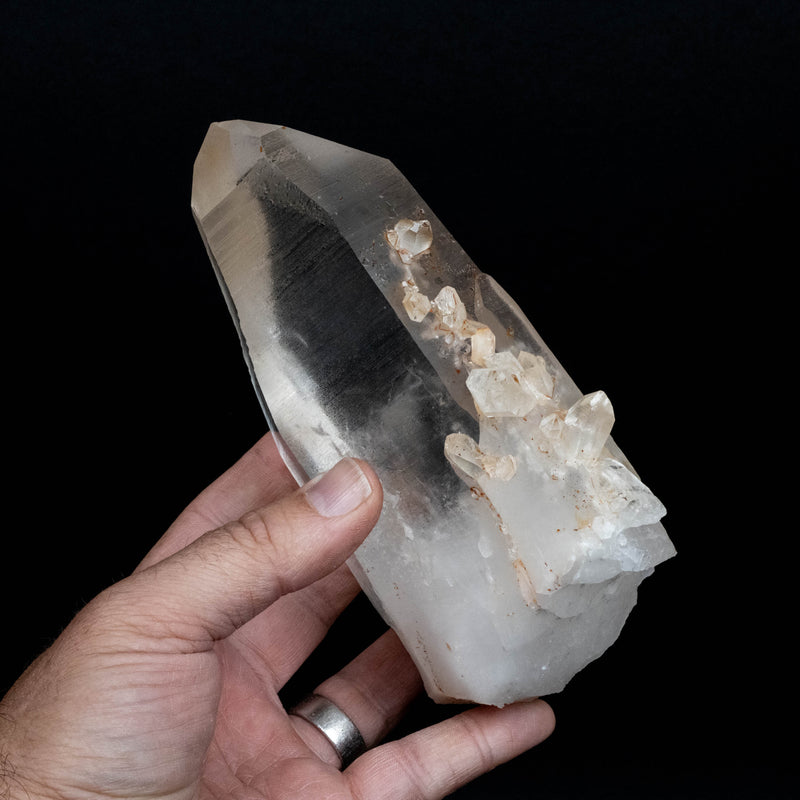 Lemurian Seed Quartz Crystal 1152 g 165x87mm
