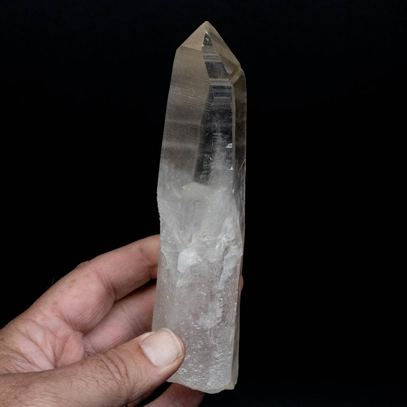 Lemurian Seed Quartz Crystal 386 g 165x47mm