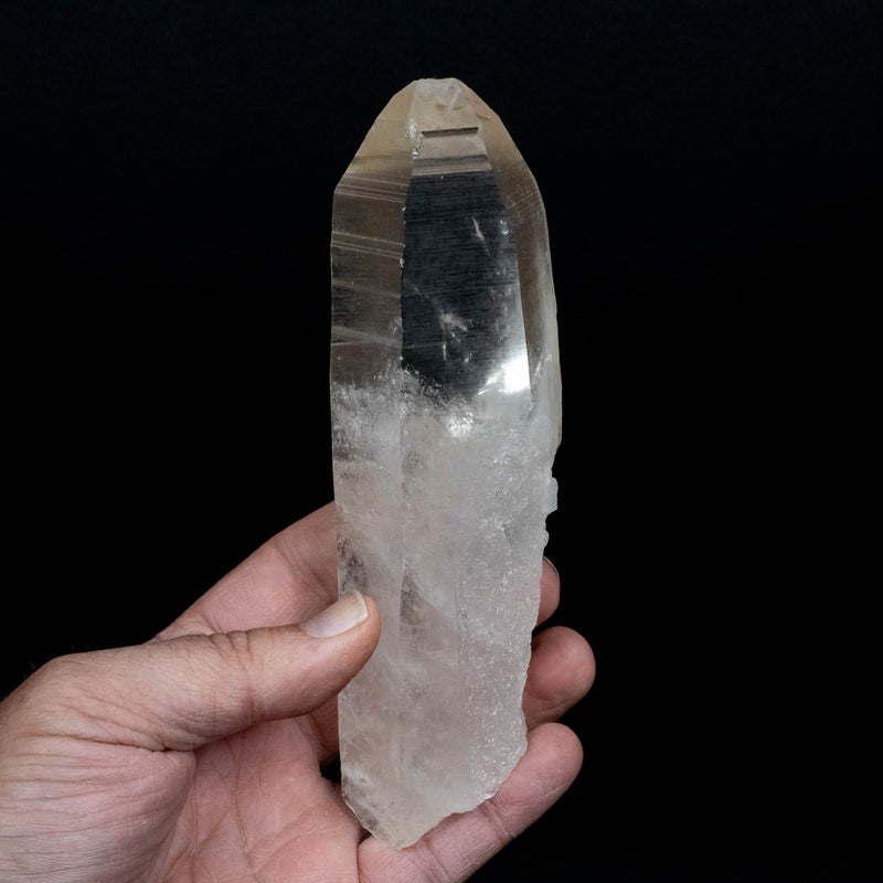 Lemurian Seed Quartz Crystal 386 g 165x47mm