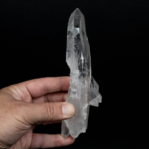 Lemurian Seed Quartz Crystal 260 g 167x44mm DT - InnerVision Crystals