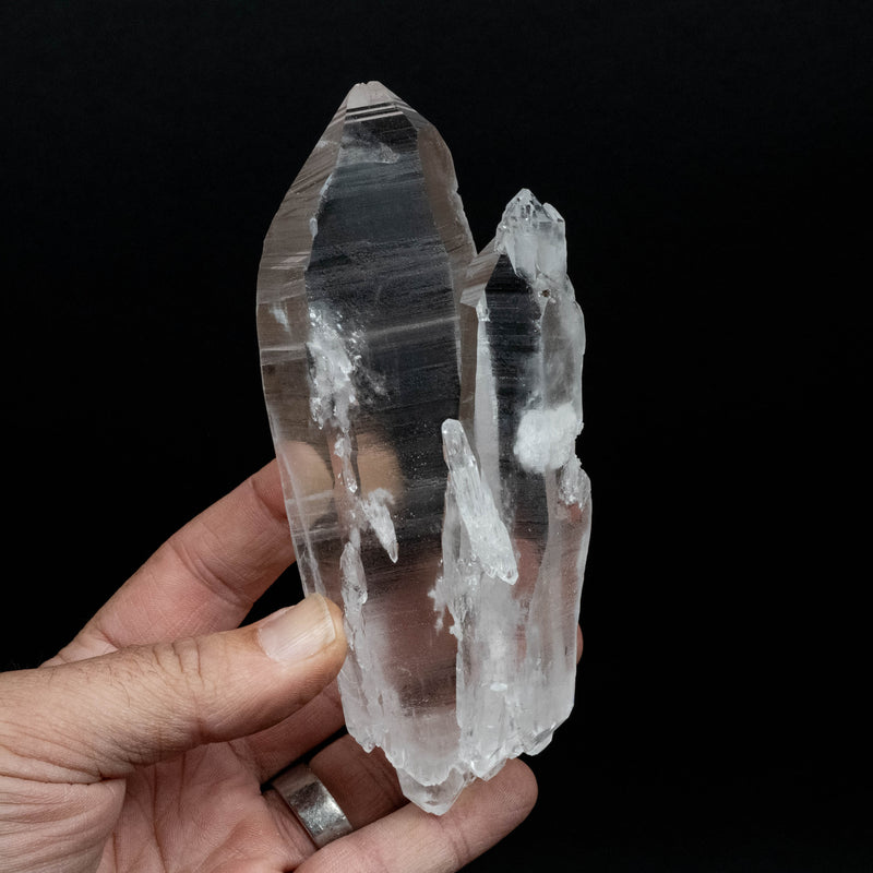 Lemurian Seed Quartz Crystal 365 g 144x59 DT Self Healed