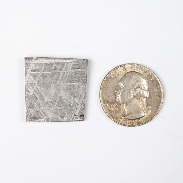 Muonionalusta Meteorite Slice 13.10 g 24x23mm