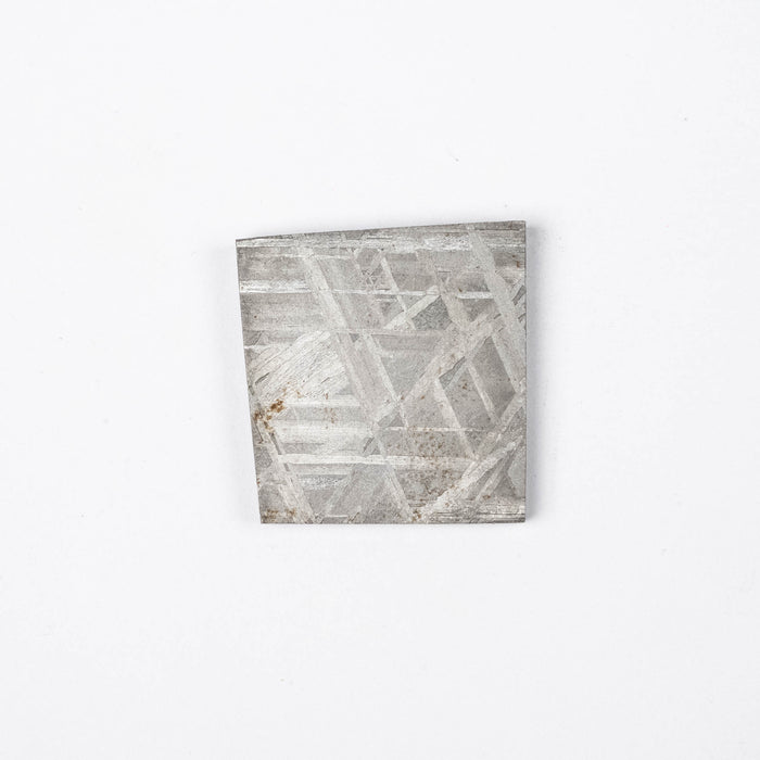 Muonionalusta Meteorite Slice 13.10 g 24x23mm