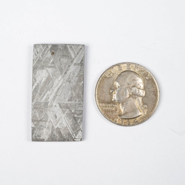 Muonionalusta Meteorite Slice 15.54 g 36x19mm