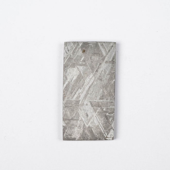 Muonionalusta Meteorite Slice 15.54 g 36x19mm