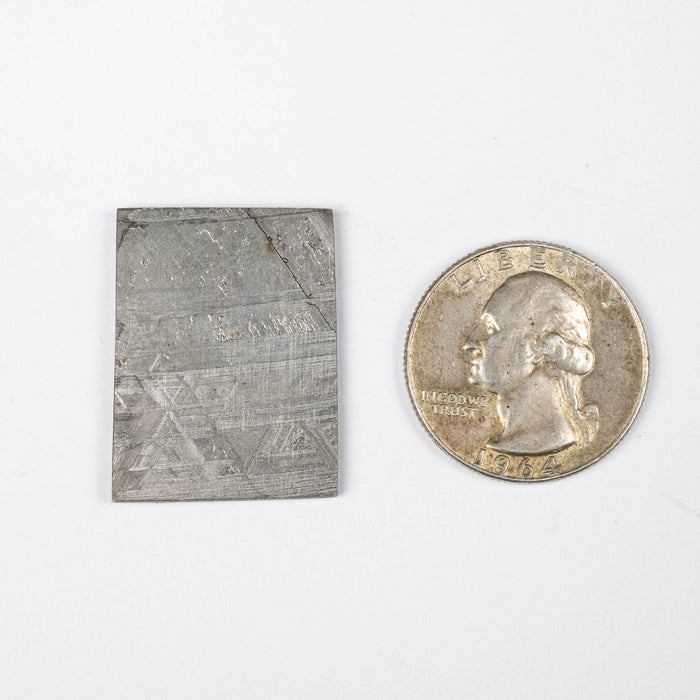 Muonionalusta Meteorite Slice 10.76 g 29x22mm