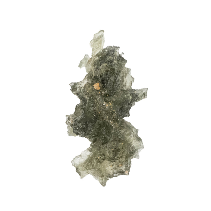 Moldavite Besednice Jezkovna AA 1.18 g 21x11x11mm
