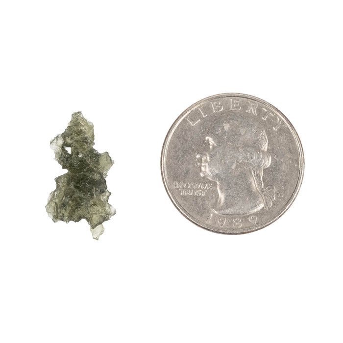 Moldavite Besednice Jezkovna AA 1.18 g 21x11x11mm
