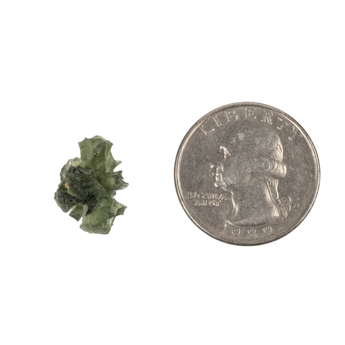 Moldavite Besednice Jezkovna AA 1.41 g 16x12x11mm