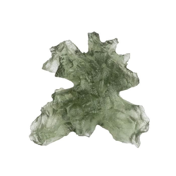 Moldavite Besednice Jezkovna AA 1.10 g 19x18x6mm
