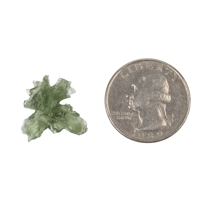 Moldavite Besednice Jezkovna AA 1.10 g 19x18x6mm